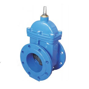 Zasuwa 111 DN 250 PN 10 do wody