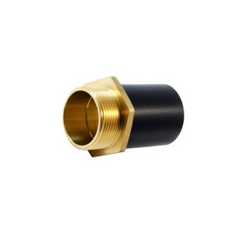 Adaptor PE 63 x GZ 2"