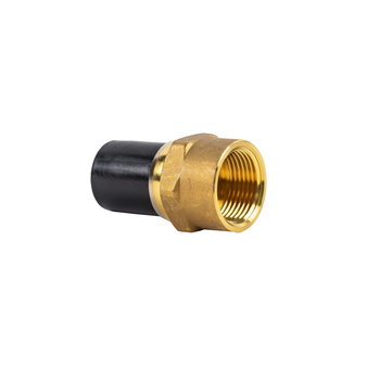 Adaptor PE 40 x GZ 5/4"